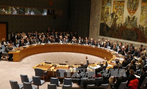 Совет безопасности ООН осудил ракетные испытания КНДР  - ảnh 1